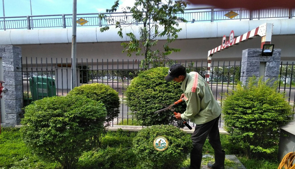 tuyển dụng chăm sóc cảnh quan sân vườn