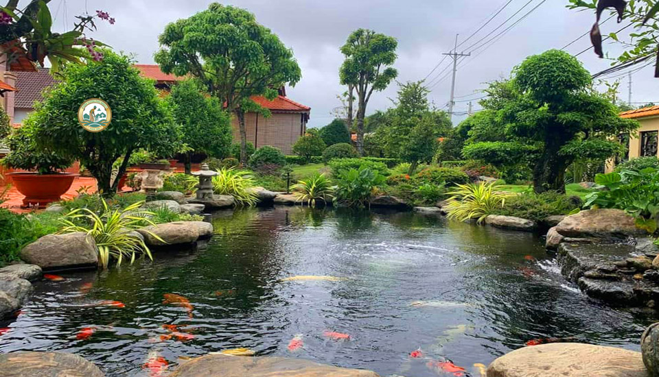 Tuyển dụng nhân viên thi công tiểu cảnh