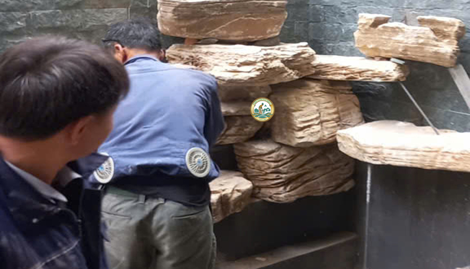 Tuyển dụng thi công tiểu cảnh sân vườn