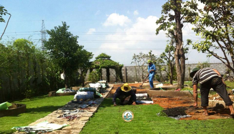 tuyển dụng trồng cây xanh