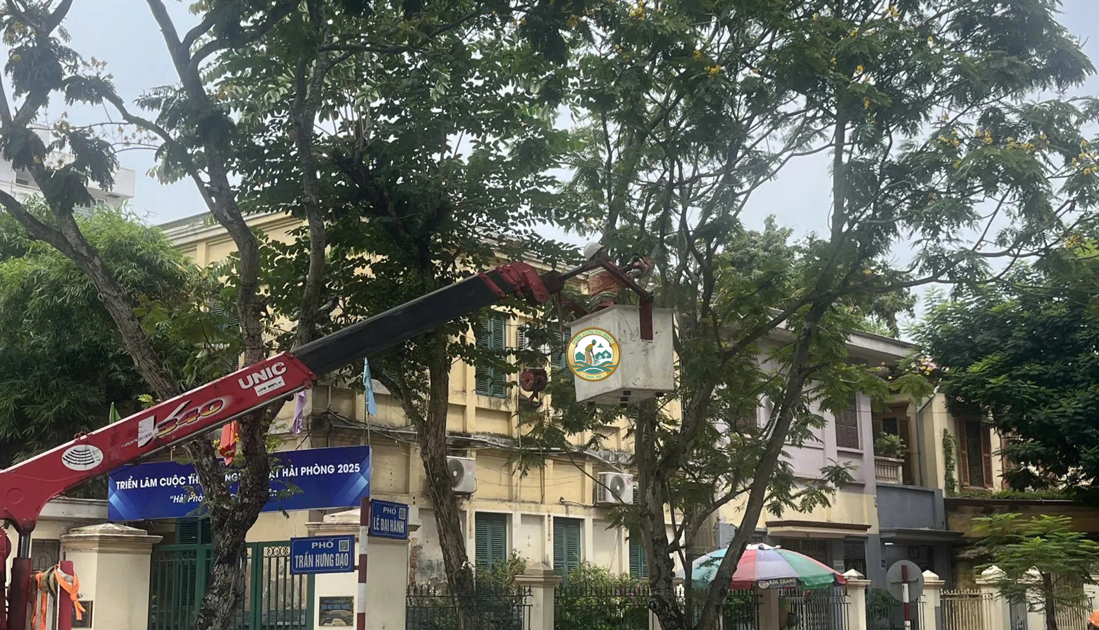 cắt tỉa cây xanh chống bão tại Hà Nội