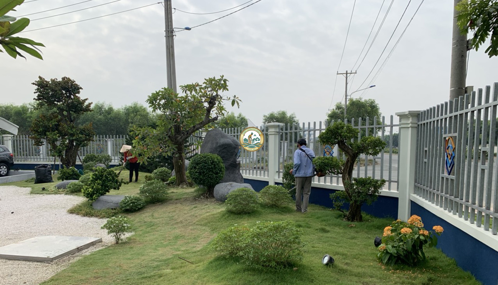 chăm sóc cây cảnh tại nhà Ba Đình