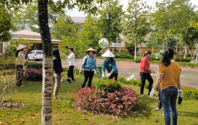 chăm sóc cây cảnh tại nhà Hoài Đức