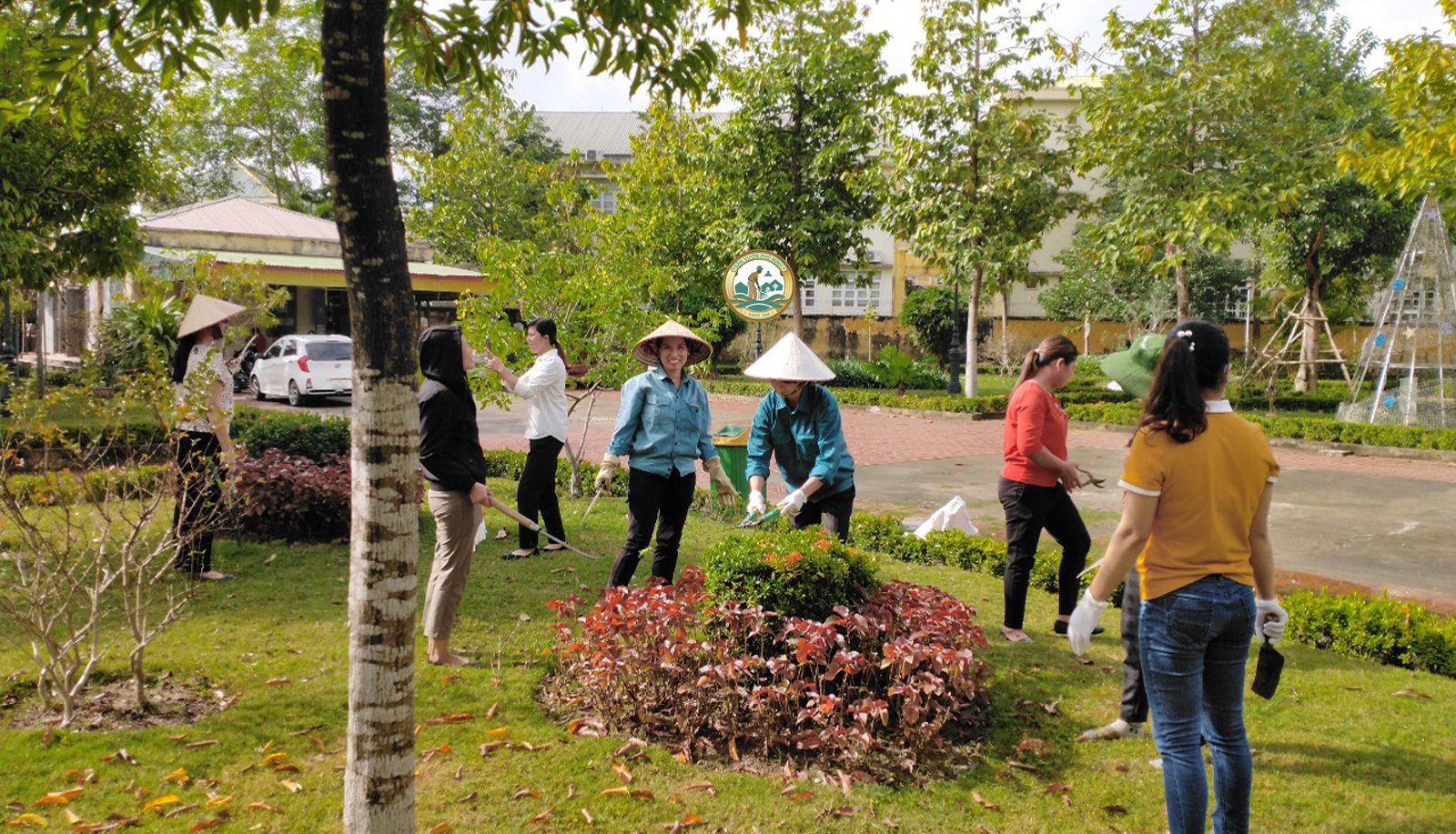 chăm sóc cây cảnh tại nhà Hoài Đức