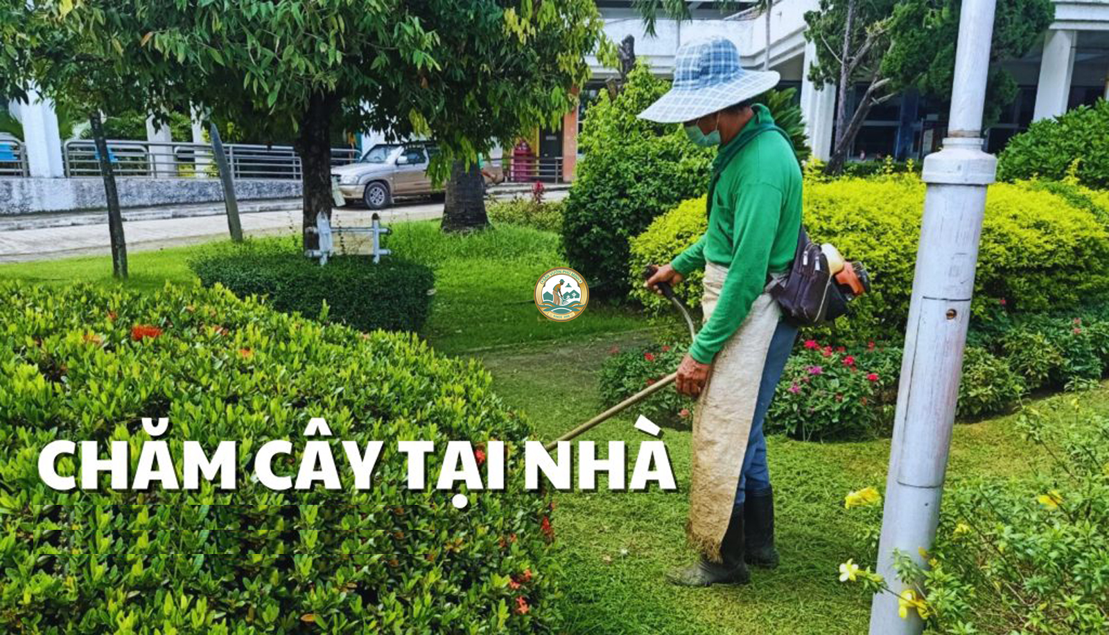 Chăm sóc cây cảnh tại nhà Hoàn kiếm