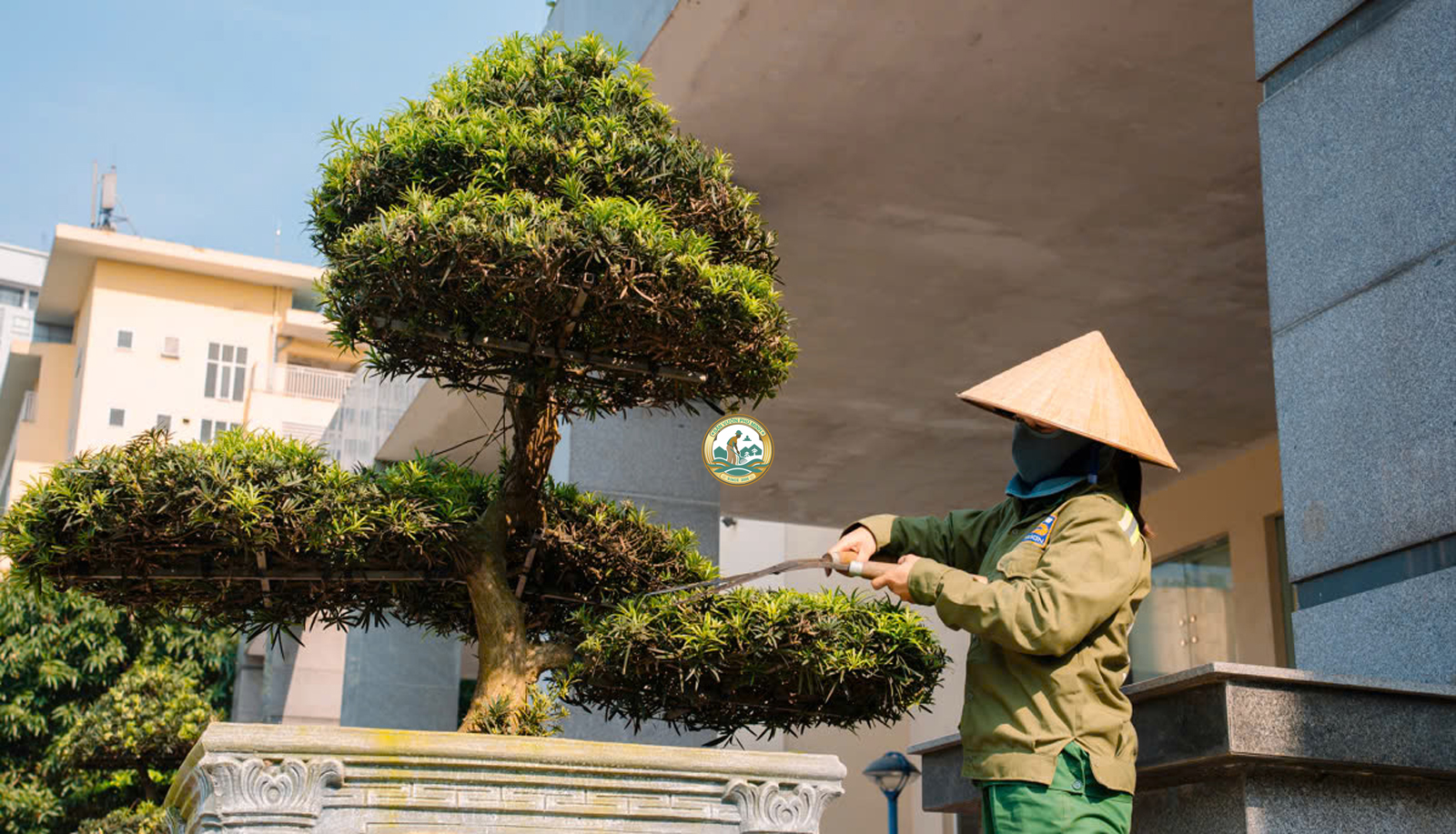 Chăm sóc cây cảnh tại nhà sơn tây