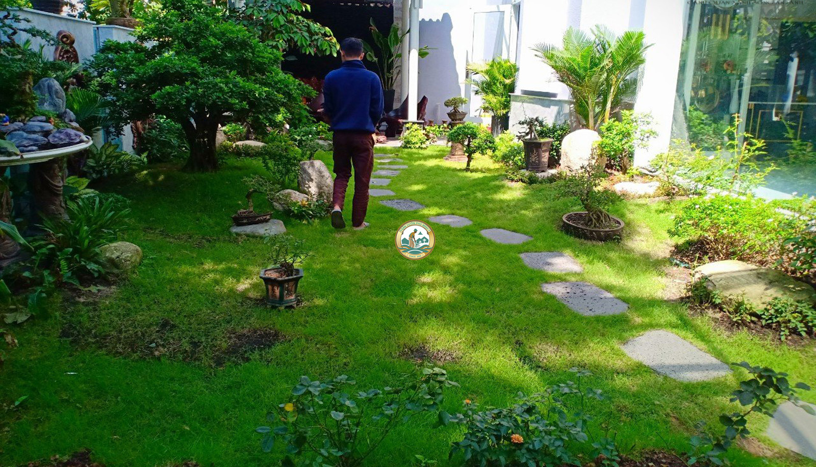 chăm sóc cây cảnh tại Tây Hồ