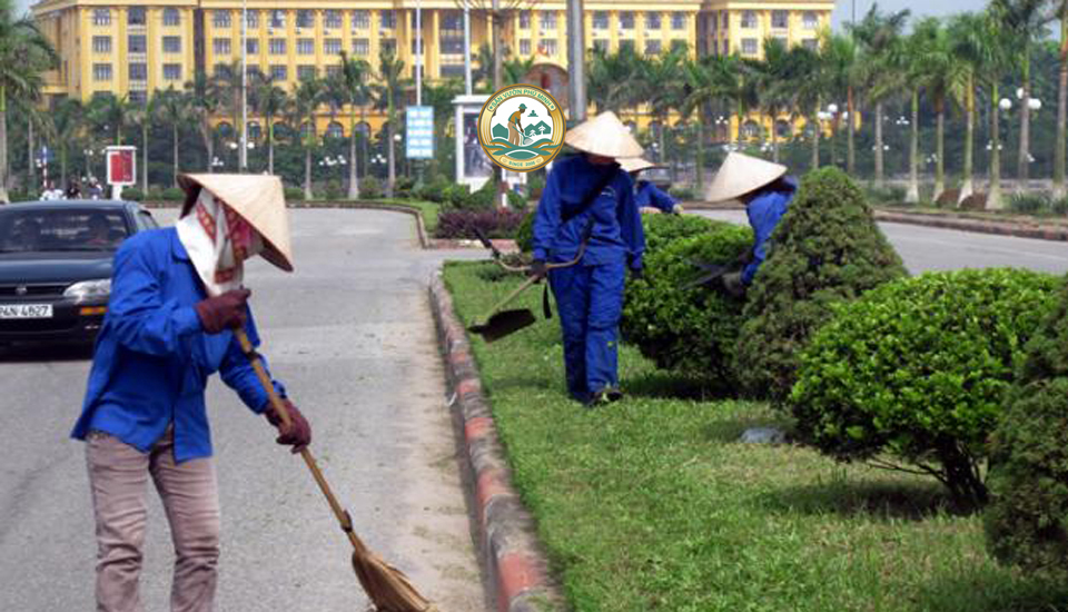 chăm sóc cây cảnh tại nhà thanh xuân