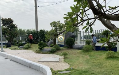 chăm sóc cây cảnh tại nhà từ liêm