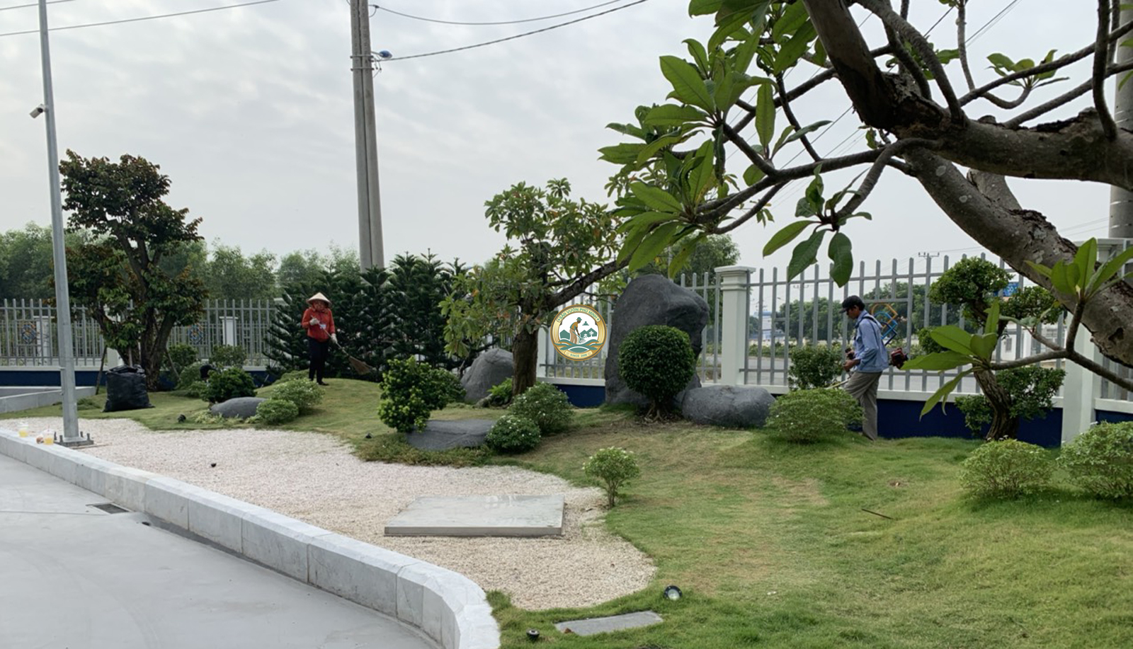 chăm sóc cây cảnh tại nhà từ liêm