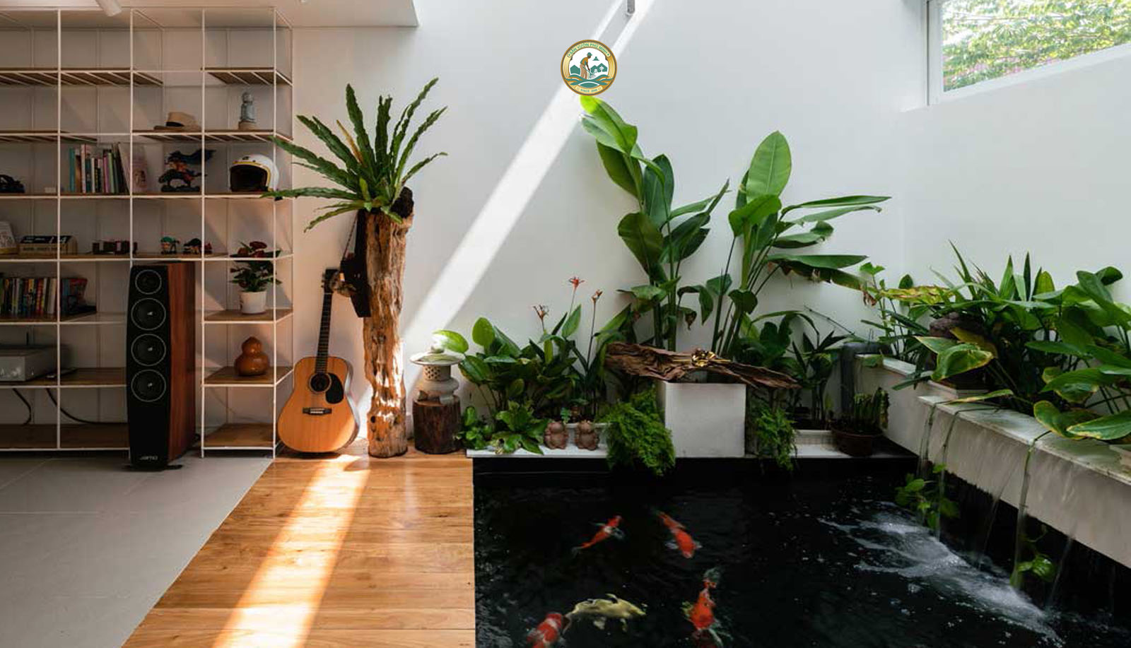 Chăm sóc Cây cảnh Trong nhà