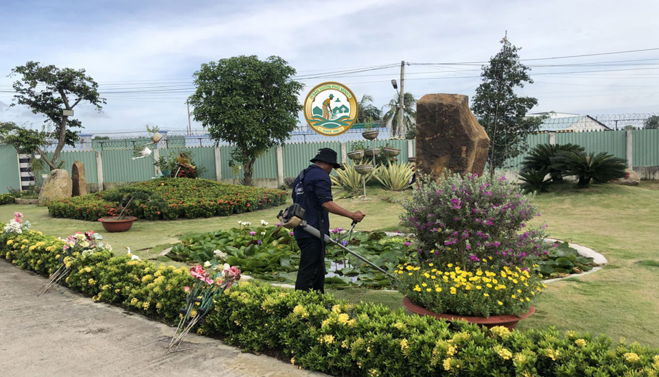 chăm sóc cây tại nhà hà nội