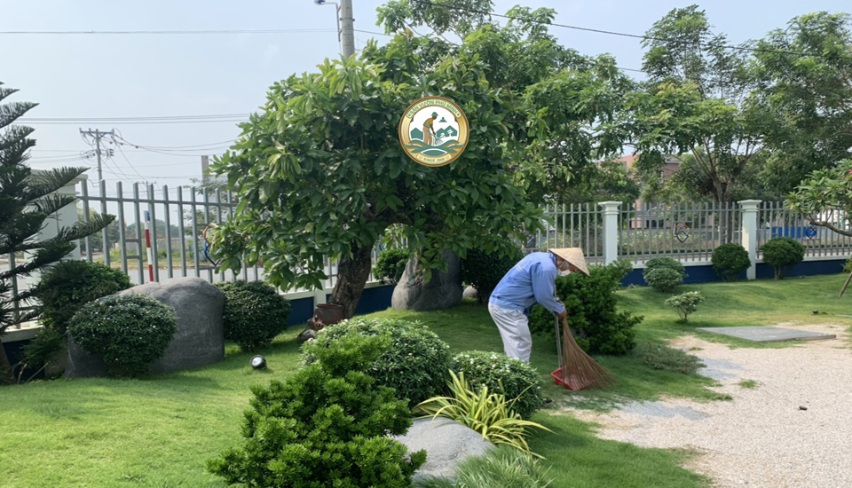 chăm sóc cây xanh tại nhà hà nội