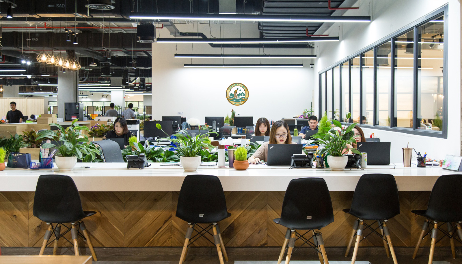 Cho thuê cây cảnh văn phòng tại Từ Liêm