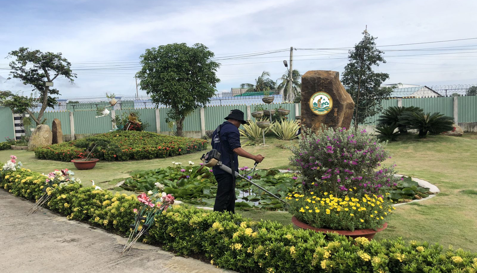 dịch vụ cắt tỉa cây xanh tại đông anh