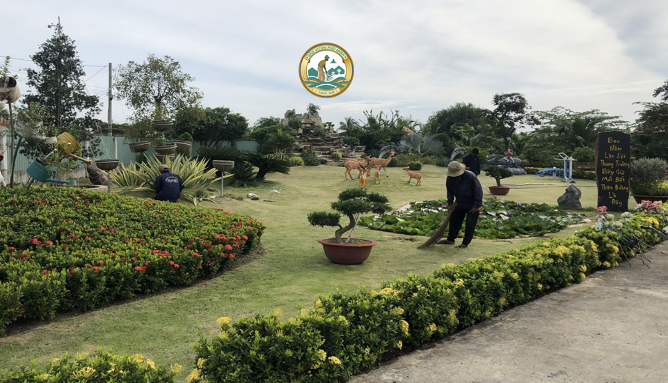 dịch vụ chăm sóc cây xanh tại nhà