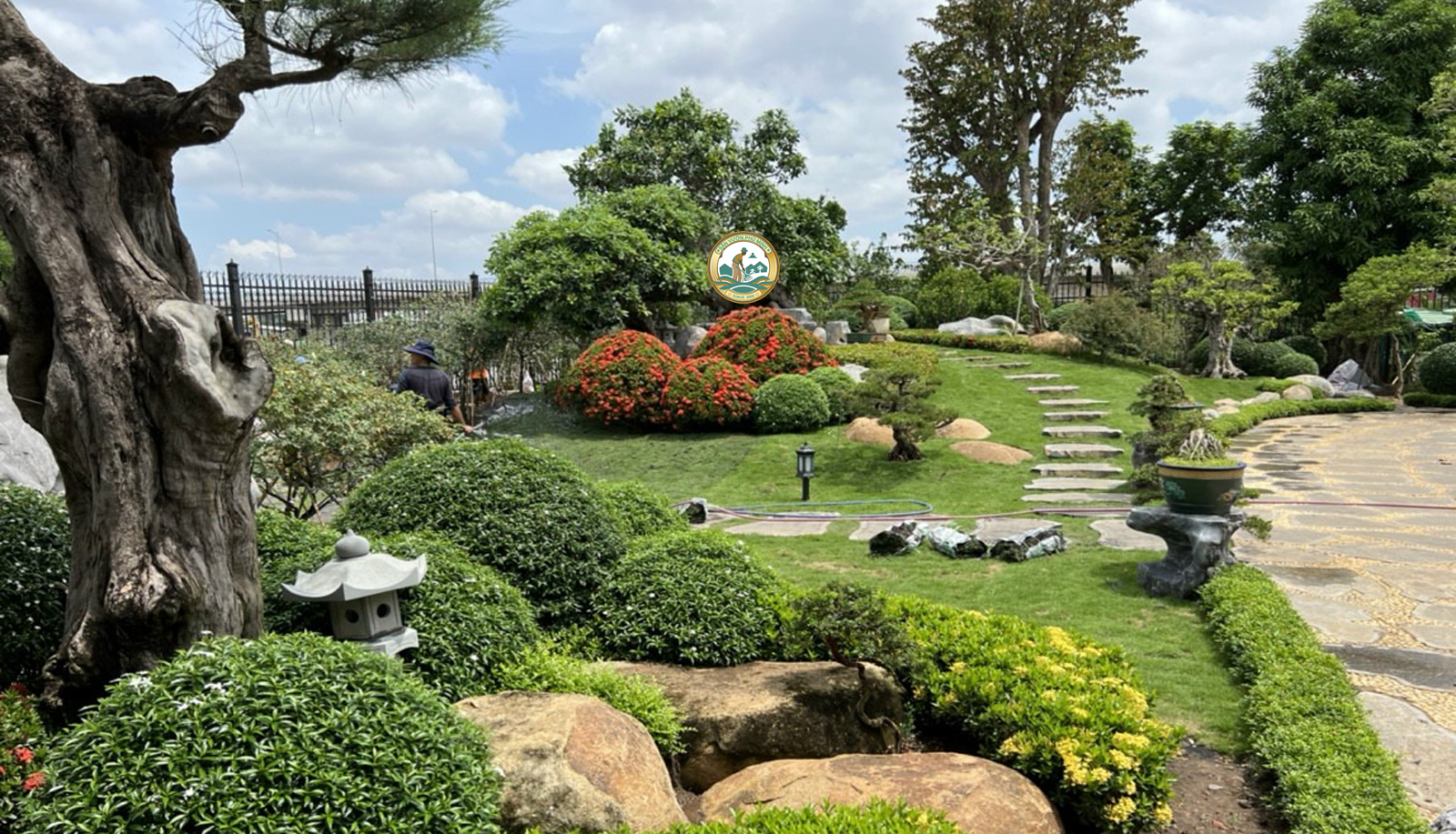 Kinh nghiệm chăm sóc cây cảnh sân vườn