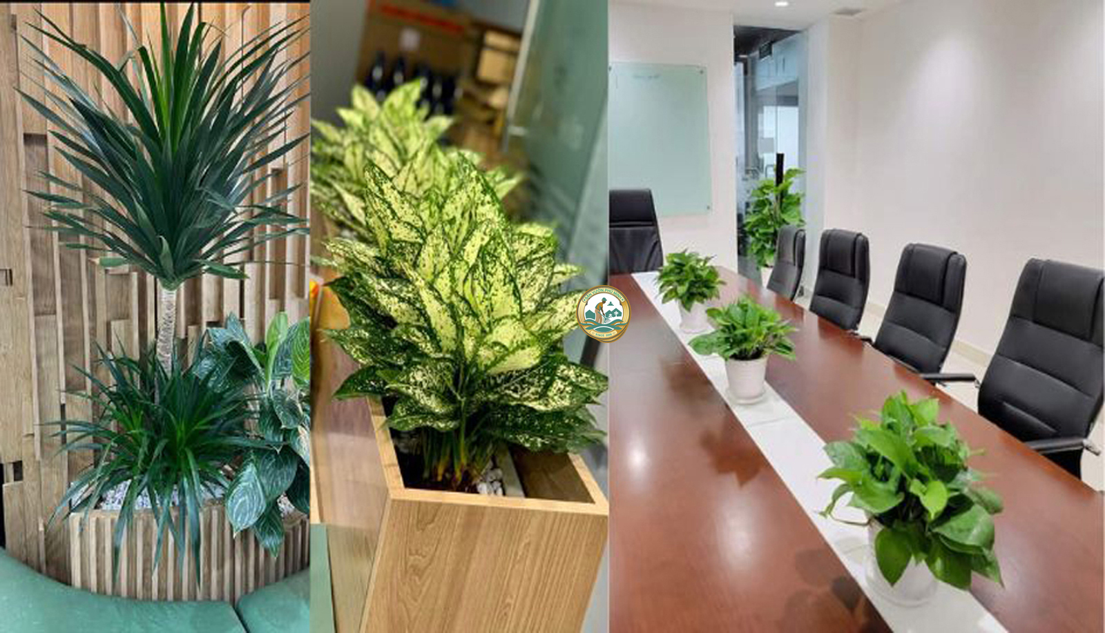 Mẫu Hợp Đồng Cho Thuê Cây Cảnh