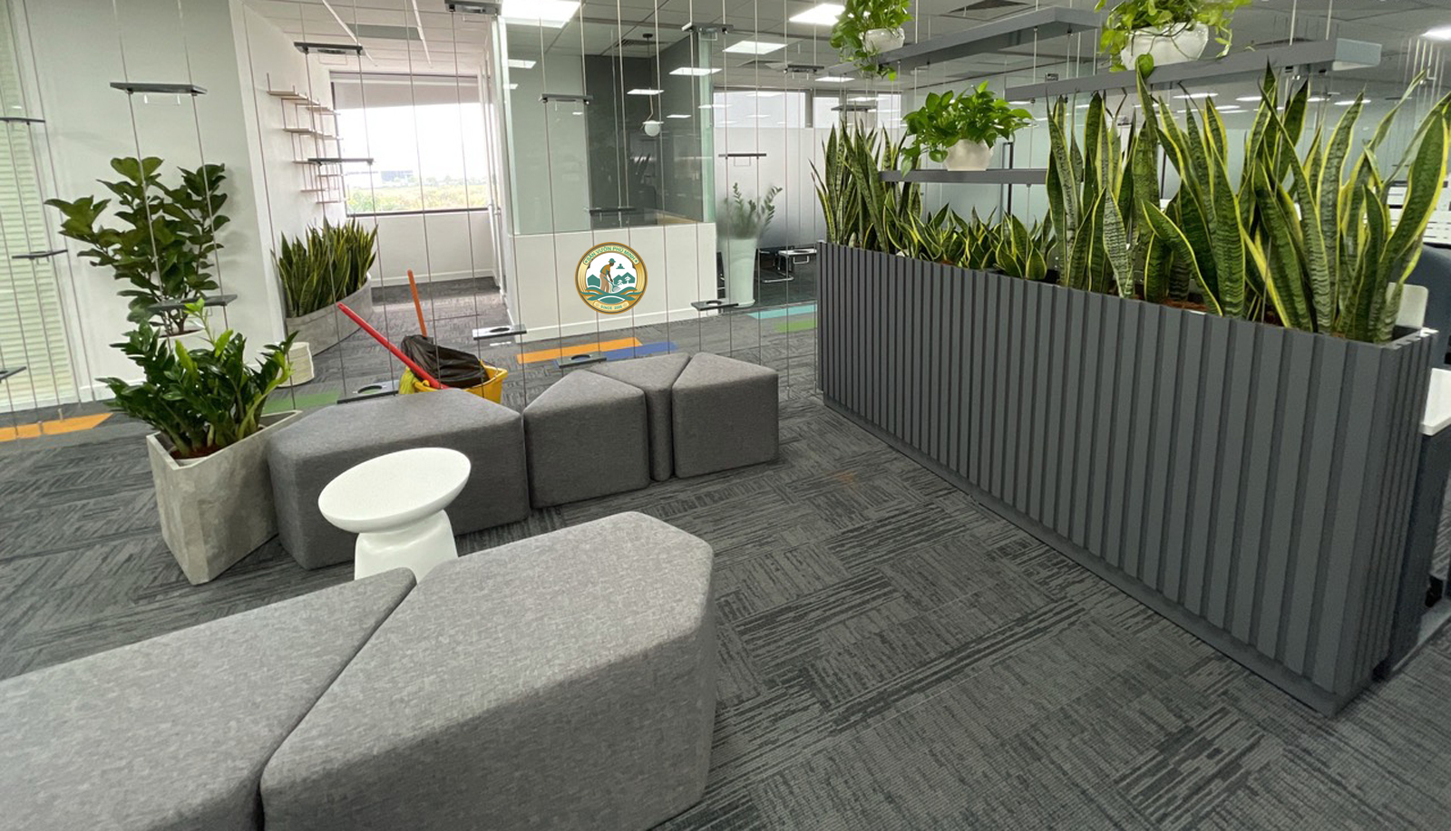 Thuê cây xanh Văn Phòng tại Hà Nội