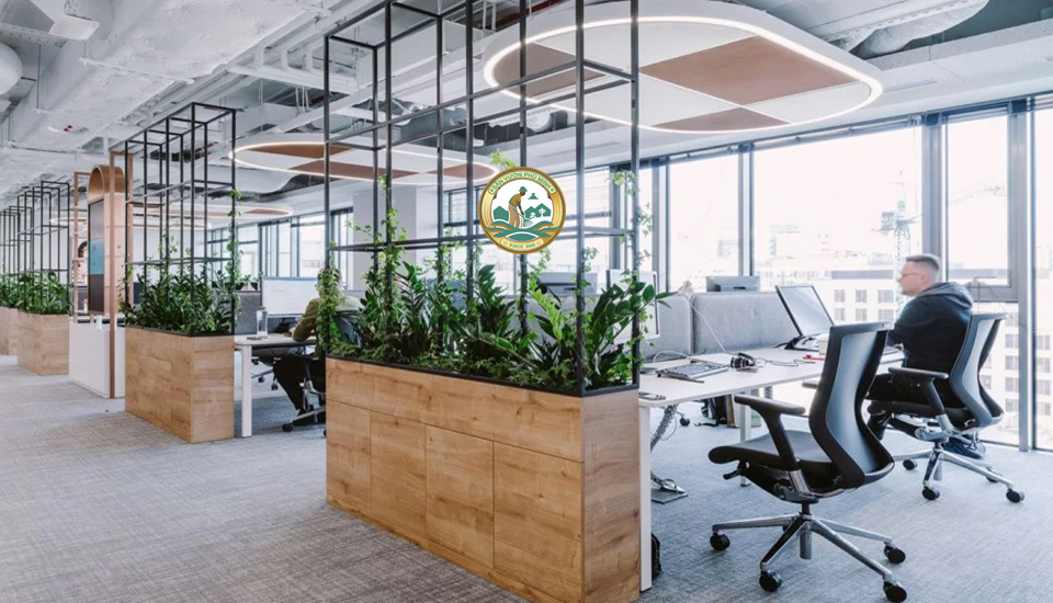 thuê cây xanh văn phòng tại cầu giấy