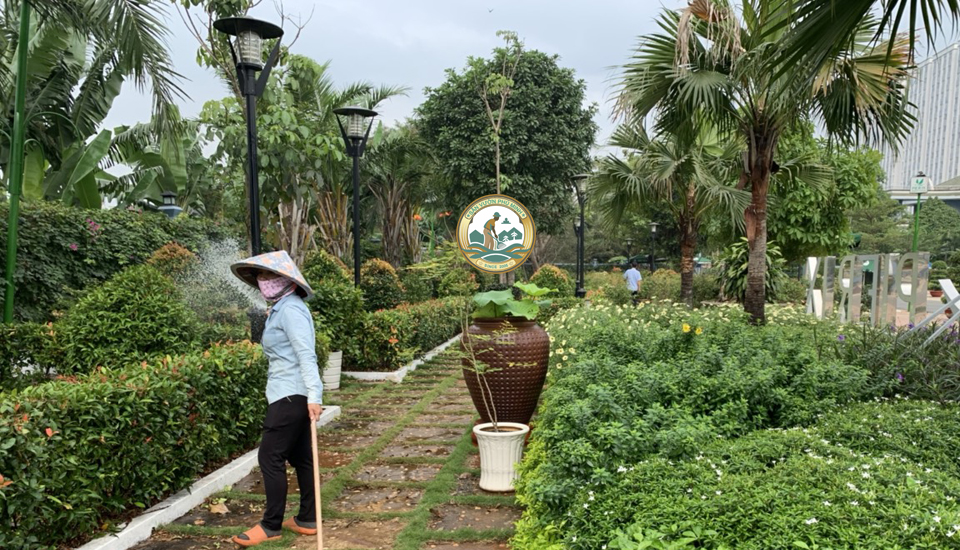 trồng cây xanh tại nhà cầu giấy