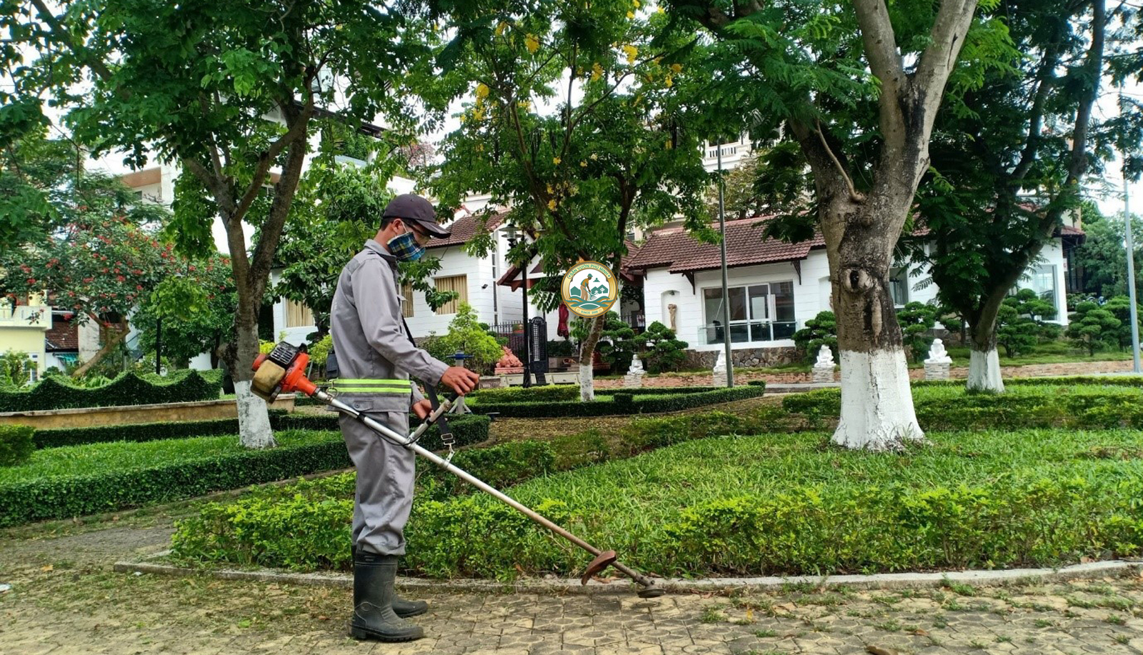 trồng cây xanh tại nhà đan phượng