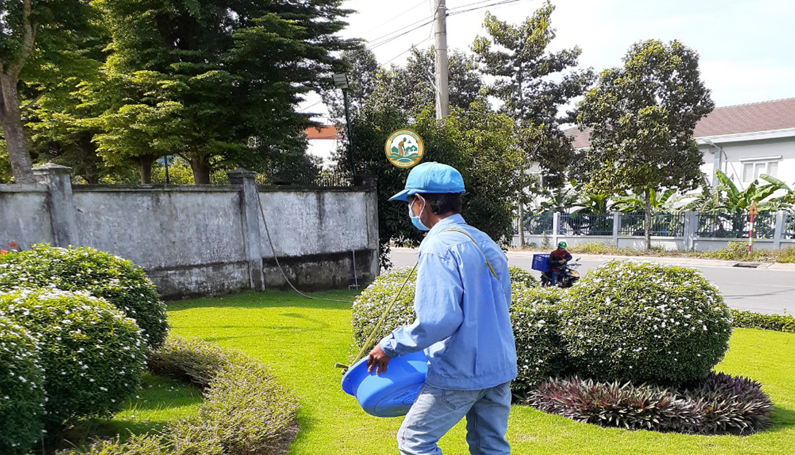 trồng cây xanh tại nhà hà Đông