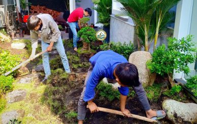 trồng cây xanh tại nhà hai bà trưng