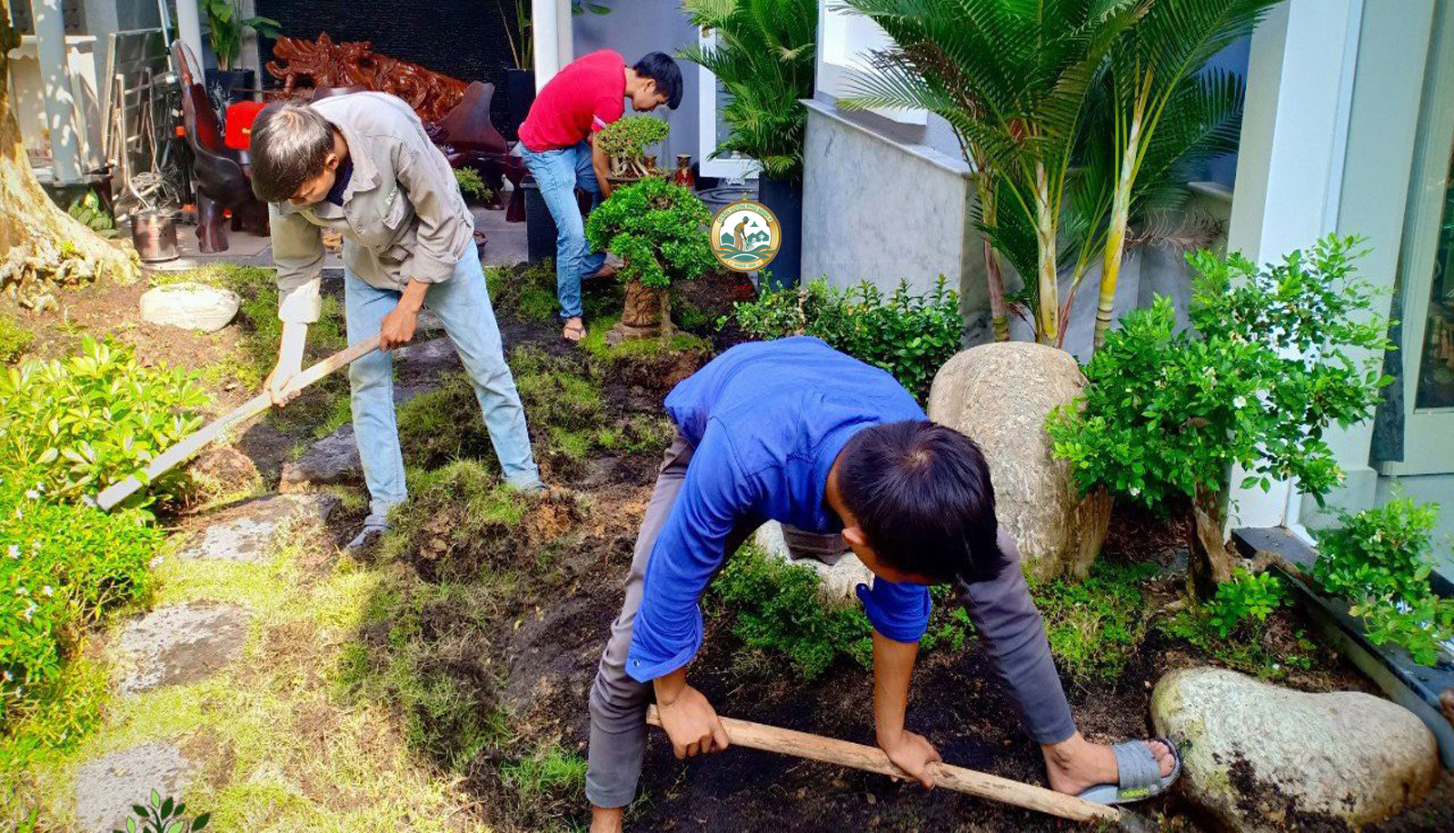 trồng cây xanh tại nhà hai bà trưng