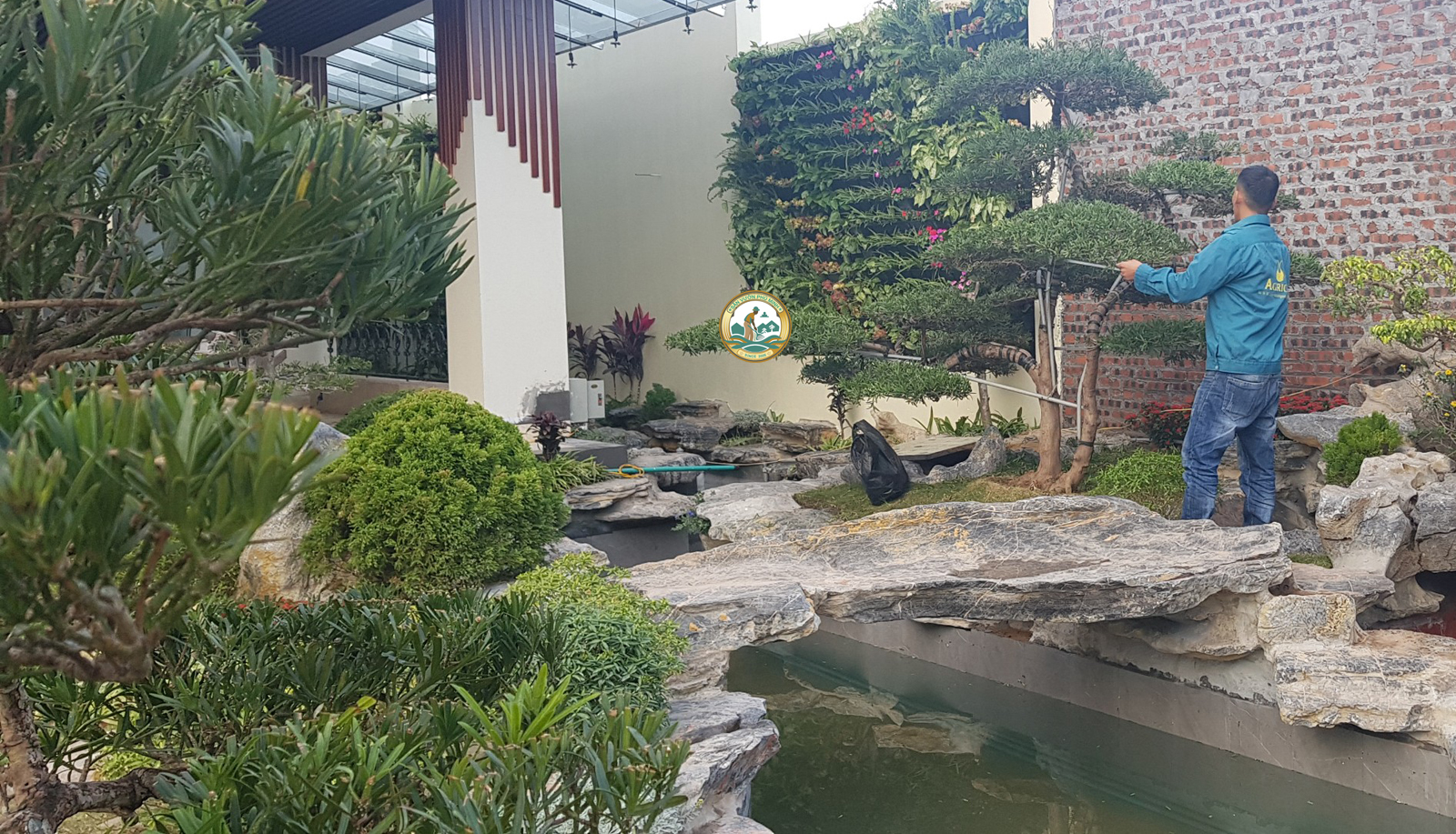 trồng cây xanh tại nhà hoà lạc