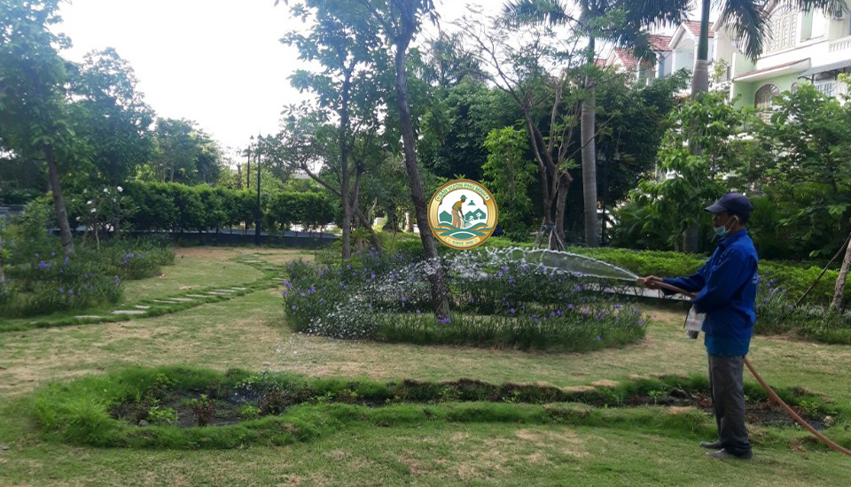 trồng cây xanh tại nhà hoài đức