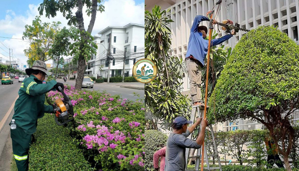 trồng cây xanh tại nhà sơn tây