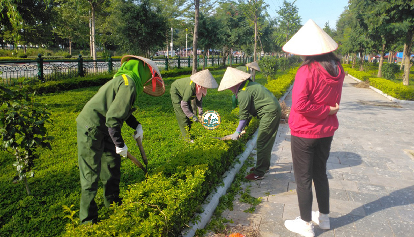 Trồng cây xanh tại nhà thanh xuân