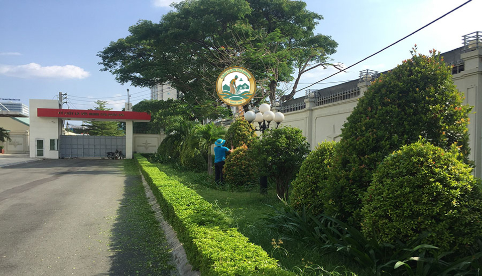 trồng cây xanh tại nhà từ liêm