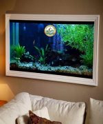 bể cá cảnh treo tường
