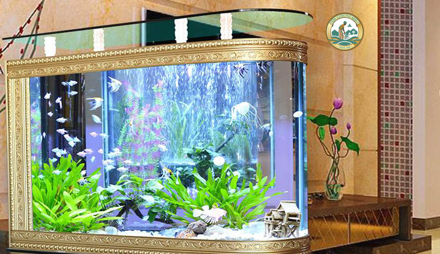 bán bể cá cảnh