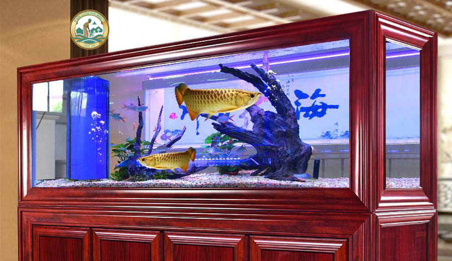 bể cá cảnh tại Hà Nội