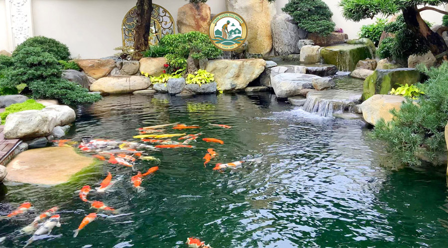 bể cá cảnh sân vườn biệt thự