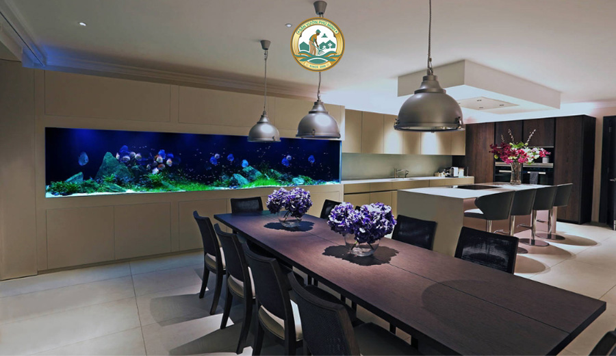 mua bể cá cảnh trong nhà
