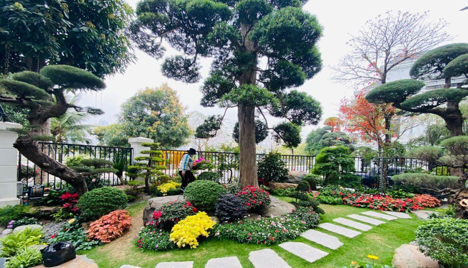 Thi công tiểu cảnh tại Chương Mỹ