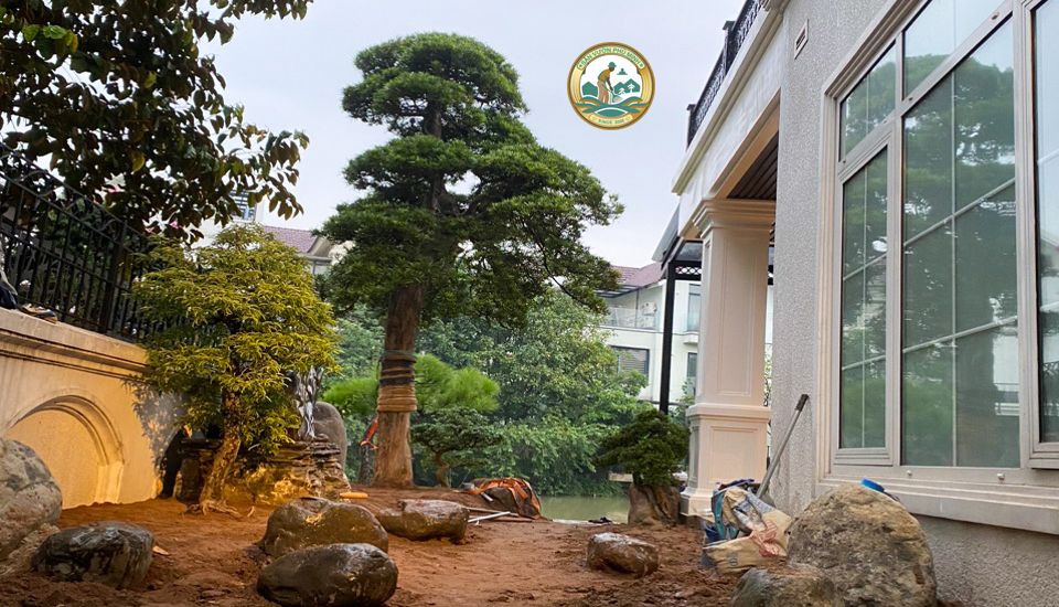 Thi công sân vườn tại Bắc Ninh