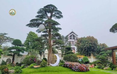 Thi công Sân vườn tại Quốc Oai