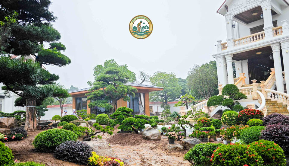 Thi công Sân vườn tại Sóc Sơn, Nội Bài