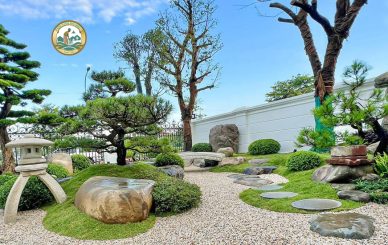 Thi công tiểu cảnh Sân vườn tại Sơn Tây, Ba Vì