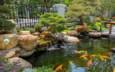 Thi công tiểu cảnh Sân vườn tại Thái Nguyên