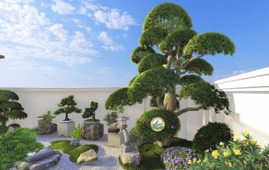 Thiết kế cảnh quan sân vườn tại đống Đa