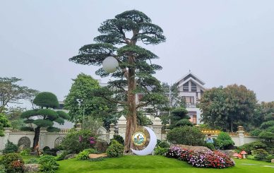 Thiết kế Cảnh quan Sân vườn tại Sóc Sơn