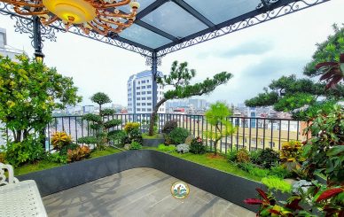 Thiết kế Sân vườn Giá rẻ tại Hà Nội