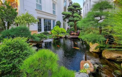 Thiết kế Sân vườn tại Phúc Thọ