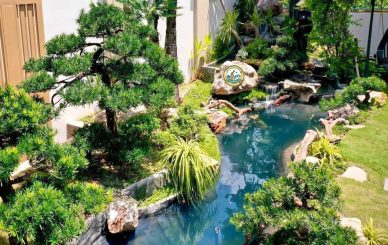 Thiết kế Sân vườn tại Tây Hồ